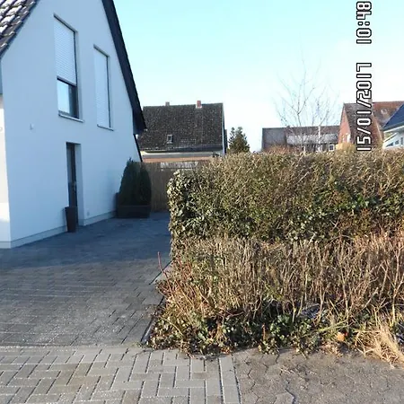 Bilm *